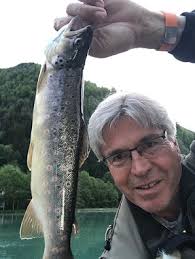 Simon's Fischerseiten