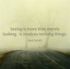 Seeing Is More Than Merely Looking It Involves Noticing Things Ned Smith Words Me Quotes Inspirational Quotes
