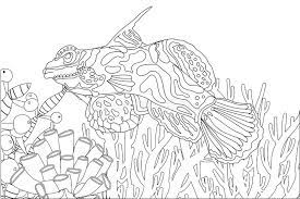 Coloring pages ideas 96 extraordinary sea animals coloring. Sea Creatures Coloring Stock Illustrations 285 Sea Creatures Coloring Stock Illustrations Vectors Clipart Dreamstime