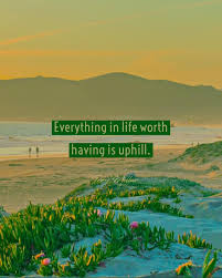 Profile for Troy Millar