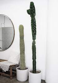 For a final touch, add a top layer of decorative rocks or sand. Sincerely Jules Office Tour Sincerely Jules Home Plant Decor Interior And Exterior
