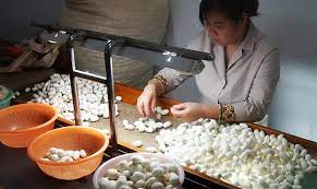 Check spelling or type a new query. Suzhou No 1 Silk Factory Suzhou Silk Factory Highlights Maps Tips