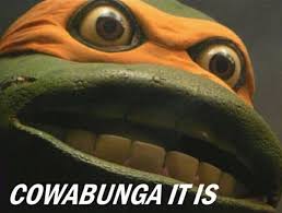 1.5m likes · 23,141 talking about this. Upvote This Special Reporter For The 29th Cowabunga Indeed Album On Imgur