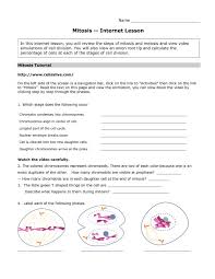440 x 320 440 x 320 from meiosis worksheet answer key source. Meiosis I And Meiosis Ii Worksheet Answer Key