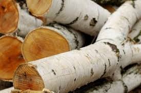 Firewood Types Silver Birch Wood Silver Birch Firewood