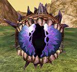 images?q=tbn:ANd9GcR2FbD9w_Z3aaad3mNeS_r