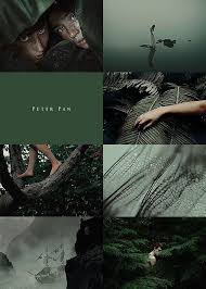 Epingle Par Viyan Sur Things En 2020 Idees De Photographie Peter Pan Pays Imaginaire
