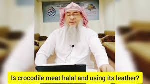 10 worst haram things in islam. Question Is Alligator Halal To Eat Business Finance