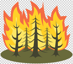 ¿estás buscando imágenes de incendio forestal png o vectores? Wildfire Fire Leaf Candle Flame Png Klipartz