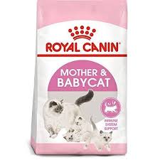 Royal Canin Feline Health Nutrition Mother Babycat Dry Cat Food In 2020 Feline Health Dry Cat Food Newborn Kittens