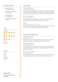 Cv Maken In De Techniek Voorbeeld Tips Wetalent