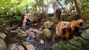 Check spelling or type a new query. Regenwald Zoo Randers Regnskov Attraktionen Sehenswurdigkeiten Tipps