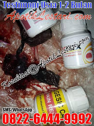 Cara menggugurkan kandungan 1 bulan Cara Gugurkan Kandungan 1 Bulan 0821 1238 6548 Jual 14 Jenis Dan Merk Obat Aborsi Cytotec Di Apotik Medan Faq Covid 19 And Joburg City Help Cara Menggugurkan Kandungan Secara Alami 1 Jinsankin