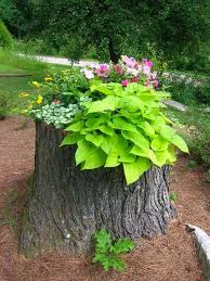 19 Blazing Tree Stump Planter Ideas That Ll Impress You Tree Stump Planter Tree Stump Decor Plants