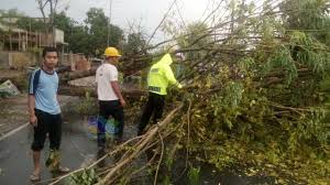 Pln operasikan gardu induk dan transmisi 275 kv sarulla selengkapnya. Pohon Tumbang Di Jalan Raya Kalitidu Bojonegoro Sempat Bikin Arus Lau Lintas Macet Kumparan Com