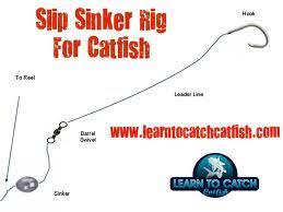 The Carolina Rig Is A Great Beginner Setup For Catching A Variety Of Fish For Catching Trout I Use A Gob Of Float Survival Fishing Fishing Techniques Catfish