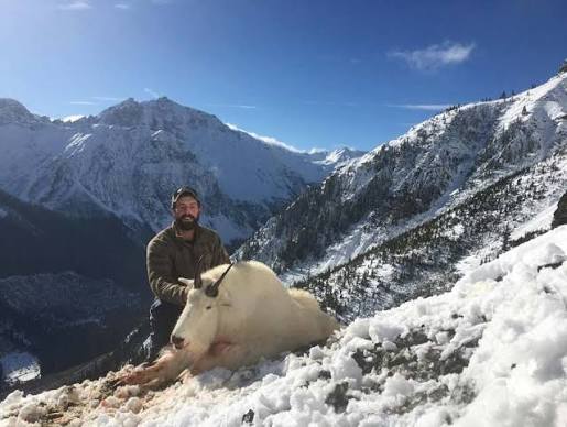 Hunting Mountain Goats in British Columbia - News And Advice | Guidefitter