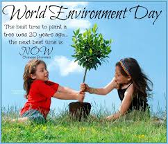 World environment day is celebrated on 5 june. World Environment Day Quotes Quotesgram