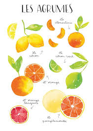 Impression De Fruit Impression D Art De Fruit Art De Mur De Fruit Affiche De Fruit Agrumes Art De Mur De Cuisine Decor De Cuisine Decor De Fruit Art De Fruit