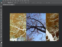 First, open your logo in photoshop. How To Invert Colors Of An Image In Photoshop In 3 Steps