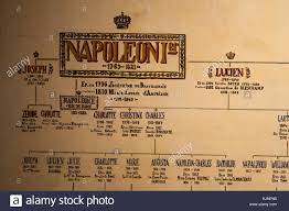 He was born in 1769 and remained emperor of france from 1804. Korsika Der Stammbaum Von Napoleon Bonaparte In Der Maison Bonaparte In Ajaccio Stammsitz Der Familie Bonaparte Und Geburtsort Von Napoleon Stockfotografie Alamy