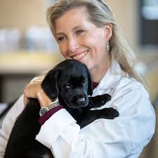 The Earl and Countess of Wessex's most memorable moments: In Photos