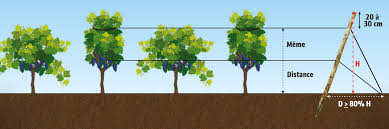 Actualité sur la viticulture, l'œnologie, l'équipement, dédié aux viticulteurs et aux. Tout Savoir Sur Le Palissage De Vignes Blog De Novi Clous