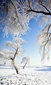 Amazon Com Snow Wallpaper Appstore For Android Best 3840x2160 snow wallpaper, 4k uhd 16:9 desktop background for any computer, laptop, tablet and phone. amazon com snow wallpaper appstore for android