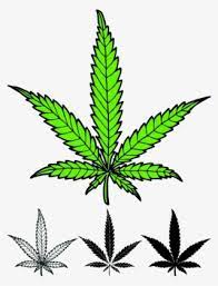 How to draw a weed leaf. Weed Leaf Png Transparent Weed Leaf Png Image Free Download Pngkey