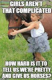 Horse Memes Quote Pony And Little Girl With Her Tutu Funny Horse Memes Horses Horse Quotes Funny