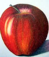 Pin On Possibilities