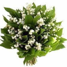 Une tradition européenne pour le jour de mai, des bouquets du muguet sont données comme cadeaux pour porter bonheur. Images Bouquet De Muguet Gratuites Popular Century