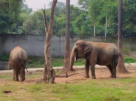 Sanjay Gandhi national park, Arrah - Safari Timing, Ticket Fee & Photos