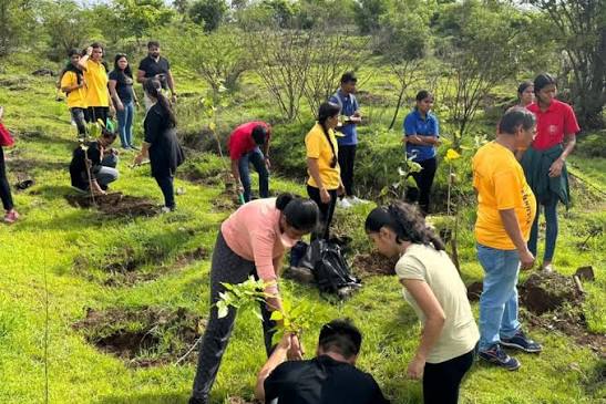 Neighbourhood Plantation Drive