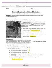 Evolution mutation and selection gizmo answer key | www. Copy Of Natural Selection Gizmo Worksheet Name Date Student Exploration Natural Selection Vocabulary Biological Evolution Camouflage Industrial Course Hero