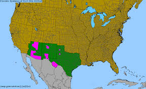 Image result for Cuscuta cassytoides