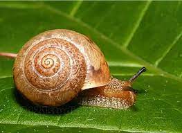 Check spelling or type a new query. Siput Kecil Siput Kecil Updated Their Profile Picture
