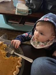 Where is the best pumpkin pie to order for thanksgiving?