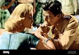 The sharkfighters hi-res stock photography and images