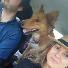 Nicolas E. Sotelo Vionnet (@nicolassotelov) • Instagram photos and videos