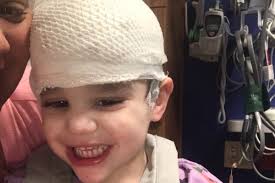 Fundraiser by Ashley Cline : Seizure dog support