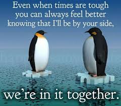 The 25+ best penguin love quotes ideas on. Love Love Love Penguin Love Quotes Time Love Quotes Penguin Quotes