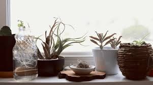 Another window plant shelf idea that is pretty self explanatory. Diy Window Plant Shelf How To Make One At Home