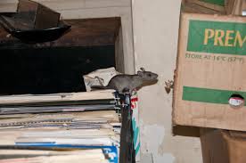 Living in pittsburg offers residents a dense suburban feel and most residents own their homes. Domestic Rodents Vector Control Services