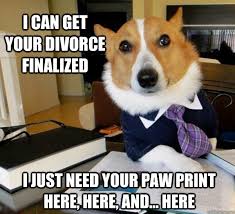 I Can Get Your Divorce Finalized I Just Need Your Paw Print Here Here And Here Lawyer Dog Quickmeme