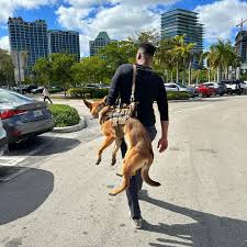 Lawrence Jones III (@lawrencebjones3) • Instagram photos and videos