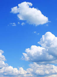 Obituary of Edmund Alcide Boucher