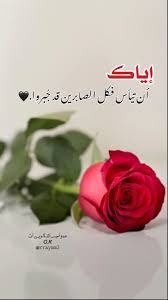 pin by هہ وآجسـ آلذگريـﮯآت 𝙂 𝙍 on g r alphabet tattoo designs cute baby cats islamic pictures