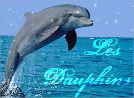 Résultat de recherche d'images pour "dauphin je les adores"