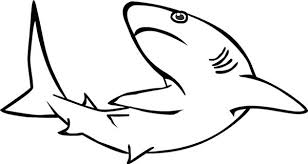 A Realistic Drawing Of Reef Shark Coloring Page Kids Play Color In 2020 Shark Coloring Pages Shark Drawing Realistic Drawings